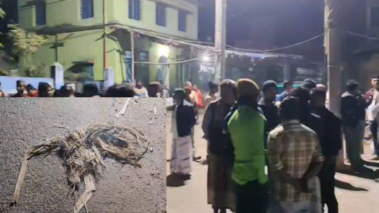 Bombardment in Howrah: হাওড়ার বেকারির দোকান যেন রণক্ষেত্র! পরপর পড়ল বোমা