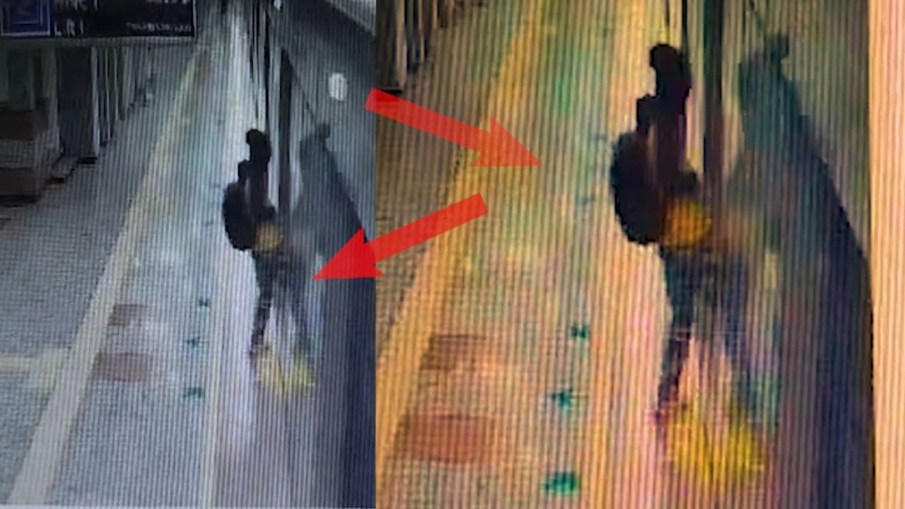 Sealdah Metro Station: মেট্রোতে ‘গা-জোয়ারির’ ছবি, পরপর লাথি! বেজে উঠল সাইরেন