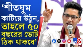 কমিশনের কাজে 'অদৃশ্য' নজরদারির নির্দেশ অভিষেকের: সূত্র