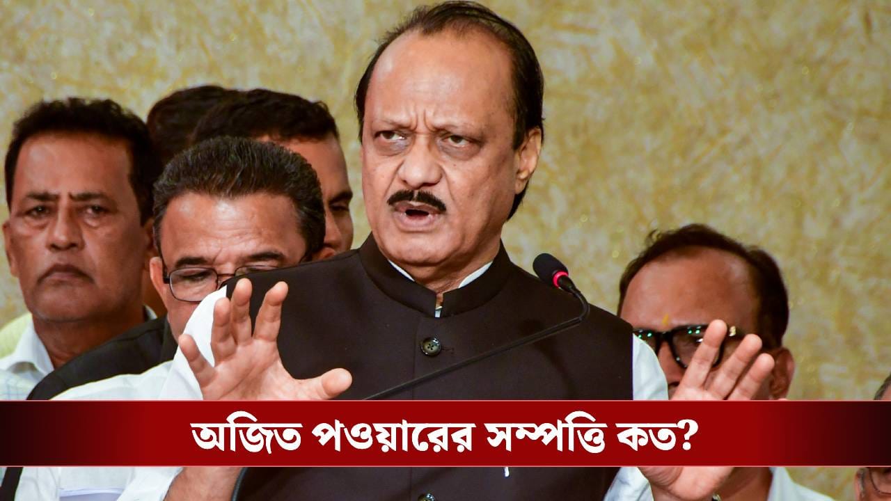 Ajit Pawar's Net Worth: স্ত্রীর কোটি কোটি টাকার সম্পত্তি, কত টাকার মালিক ছিলেন অজিত? Ajit Pawar's Net Worth: স্ত্রীর কোটি কোটি টাকার সম্পত্তি, কত টাকার মালিক ছিলেন অজিত?