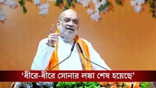 Amit Shah: ‘রাম যখন রামসেতু বানিয়ে লঙ্কায় ঢুকেছিলেন, তখন রাবণ হেসেছিল’, মমতাকে কী বোঝাতে চাইলেন শাহ