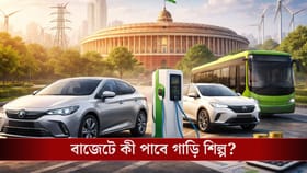 এবারের বাজেটে কী পেতে পারে ভারতের গাড়ি শিল্প?