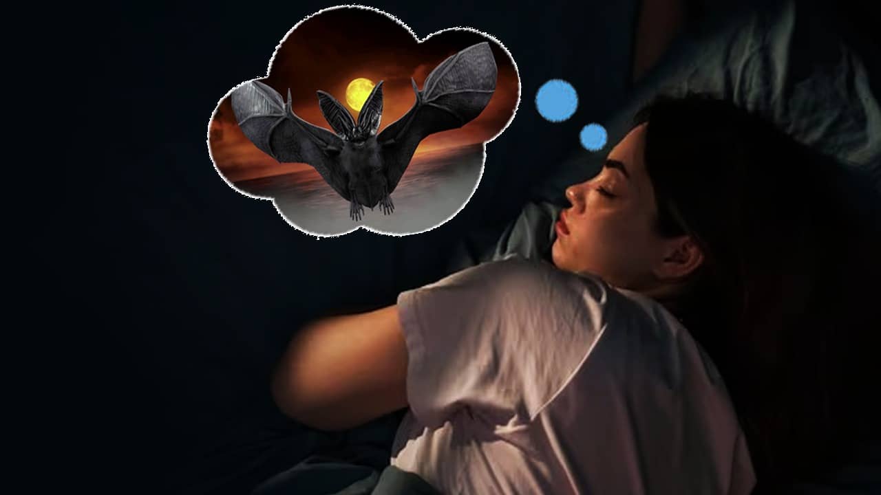 স্বপ্নে বাদুড় দেখা কি খারাপ?