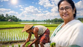 অতিবৃষ্টি-খরা, কিছুই ঠেকাতে পারবে না এই ৪ প্রজাতির ধানকে, বলছেন মমতা