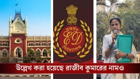 I-PAC-এর ঘটনায় হাইকোর্টে CBI তদন্ত চাইল ED, যুক্ত করা হয়েছে মমতার নাম
