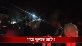 বাইকের ধাক্কায় গাছে ঝুলছে অটো! ভয়ঙ্কর ঘটনা ক্যানিংয়ে