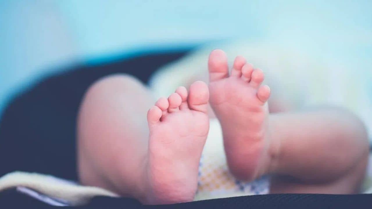 Birbhum: ২ বছরের শিশুকে নিয়ে মাঠে গিয়েছিলেন সৎ মা, তারপরই যা ঘটল...