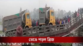 লরিটা সবমাত্র উঠেছে, হুড়মুড়িয়ে ভেঙে পড়ল ব্রিজ! ভয়ঙ্কর ঘটনা বাংলায়