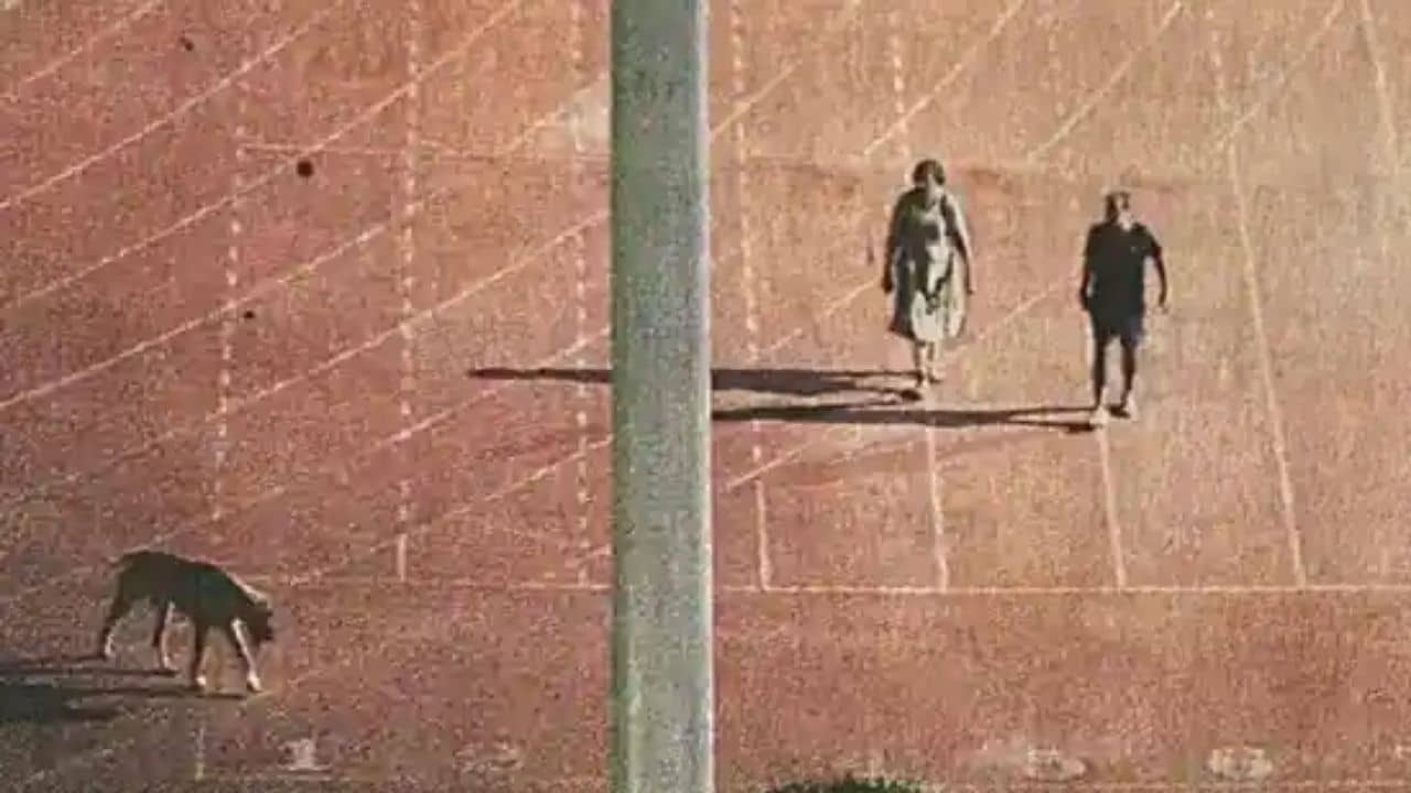 Delhi IAS Officer: সারমেয়কে হাঁটাতে স্টেডিয়াম ফাঁকা করানোর অভিযোগ, দিল্লিতে ফিরে এল সেই বিতর্কিত আমলা