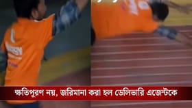 ট্রেনে ডেলিভারি করতে গিয়ে 'ঝাঁপ', উল্টে জরিমানা ওই ডেলিভারি এজেন্টকেই!