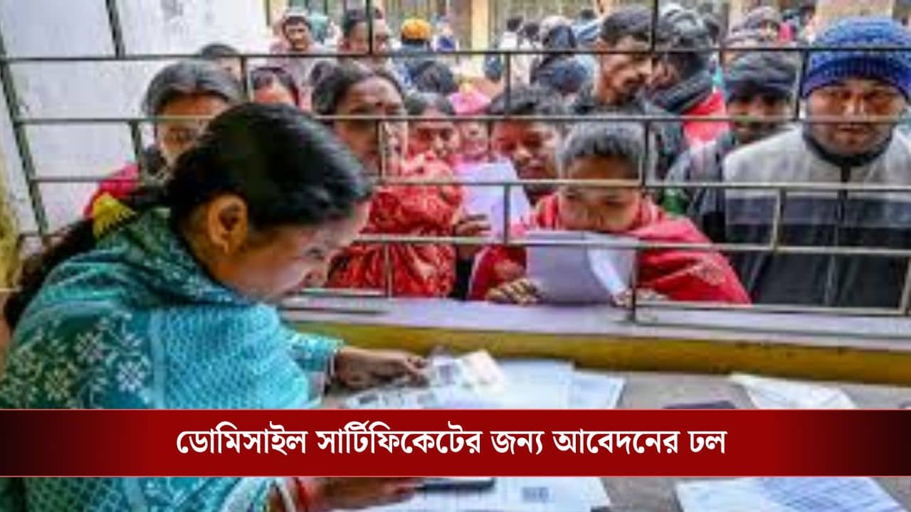Domicile Certificate: গ্রাহ্য করেনি কমিশন, তবুও কলকাতায় ডোমিসাইল সার্টিফিকেটের আবেদনের ঢল! কেন?