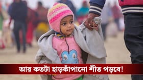 বাংলার এই ৮ জেলায় 'কোল্ড ডে'-র অ্যালার্ট জারি, কী পরিস্থিতি হতে চলেছে