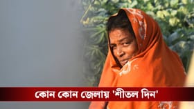 কখন জারি হয় 'কোল্ড ডে অ্যালার্ট'? বাংলায় কবে কমবে শীত