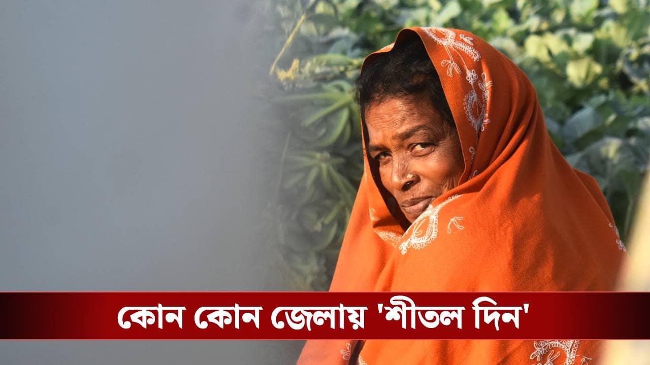 West Bengal Weather: কখন ঘোষণা করা হয় কোল্ড ডে অ্যালার্ট? স্বাভাবিকের উপরে কবে উঠবে বাংলার পারদ