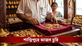 নিজের দোকান থেকে সব সোনার গয়না লুটে নিয়ে গেলেন খোদ মালিকই!