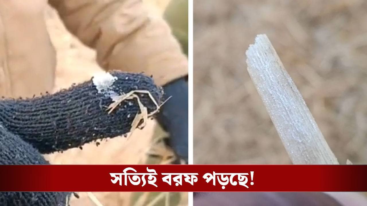 Purulia: পুরুলিয়ায় সত্যিই বরফ পড়ছে, খড়ের গাদায় হাত দিয়ে চমকে উঠল ওরা