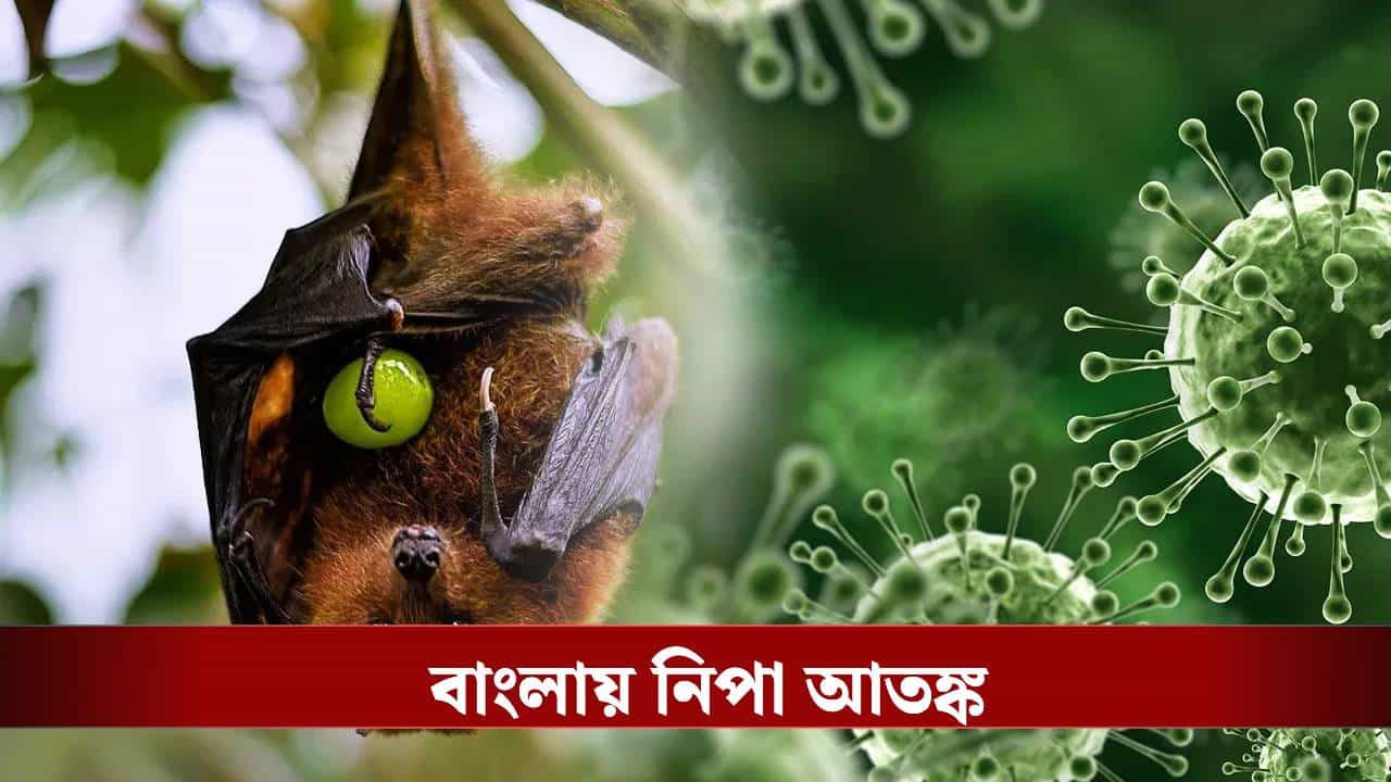 Nipah Virus in Bengal: বাংলায় নিপা ভাইরাস! ভেন্টিলেশনে দুই নার্স, যা খেতে নিষেধ করল স্বাস্থ্য দফতর... Nipah Virus in Bengal: বাংলায় নিপা ভাইরাস! ভেন্টিলেশনে দুই নার্স, যা খেতে নিষেধ করল স্বাস্থ্য দফতর...