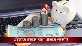 ২০২৬-এ লক্ষ্মীলাভ চান? পকেট সামলাতে মেনে চলুন এই সূত্র!