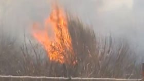 সিঙ্গুরে মোদীর হেলিপ্যাডের পাশে আগুন, কে আগুন ধরাল?