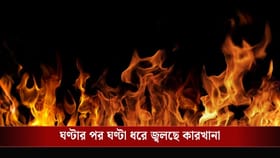 গভীর রাতে শহরের মোমো কারখানায় আগুন, লড়াই চালাচ্ছে দমকলের ১২টি ইঞ্জিন