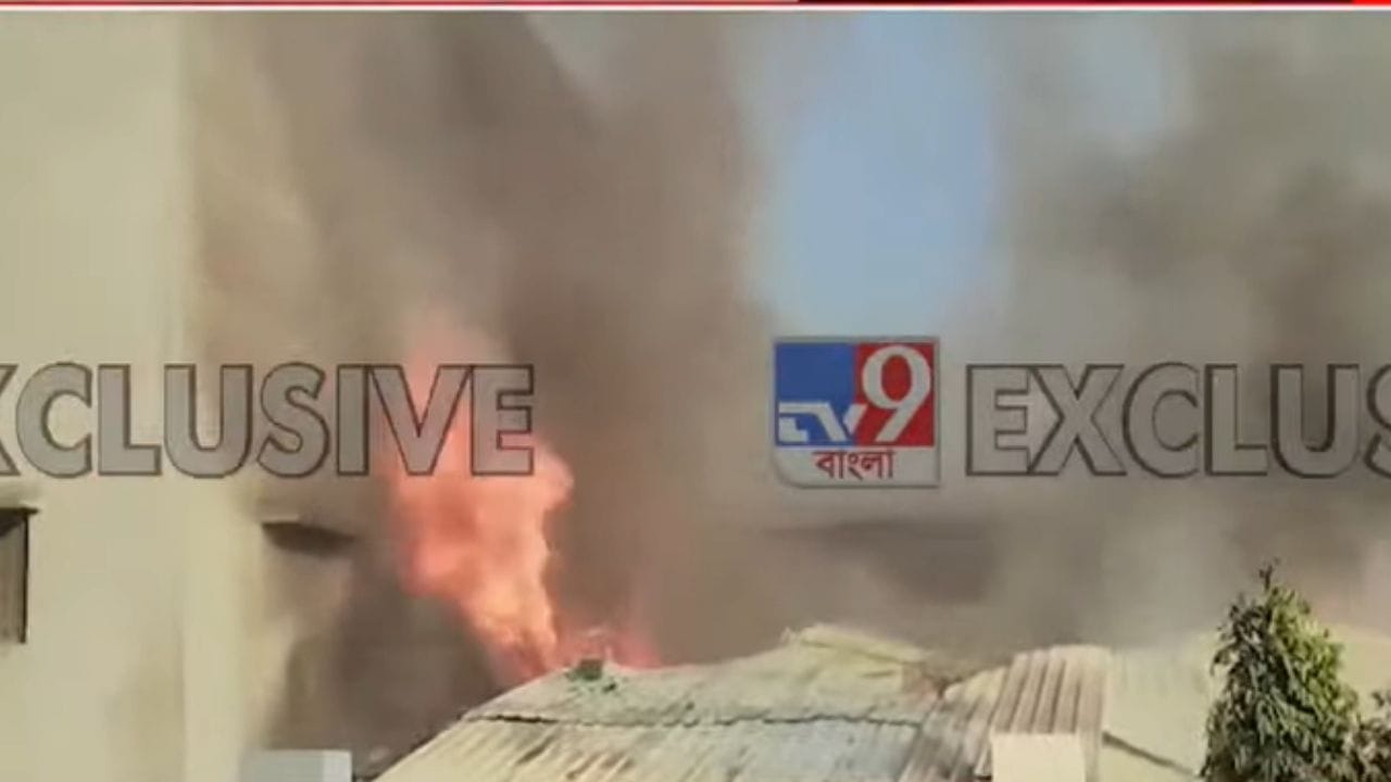 Topsia Fire: গলগল করে বেরচ্ছে ধোঁয়া, লেলিহান শিখা আগুনের, তপসিয়ায় বিধ্বংসী অগ্নিকাণ্ড