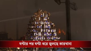 Fire at Momo Factory: ভয়াবহ আগুনে ভস্মীভূত আনন্দপুরের মোমো কারখানা, ঝলসে মৃত্যু তিনজনের