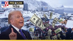 সত্যি গ্রিনল্যান্ড কিনে নেবেন ডোনাল্ড ট্রাম্প? কী সম্পদ আছে ওখানে?