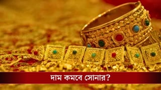 Union Budget 2026: সোনার দাম বাড়লেও বাজেটের পরই সস্তা হয়ে যেতে পারে গয়না!