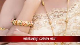 মকর সংক্রান্তিতে ১১ হাজার টাকা দাম! রুপোর দাম শুনে আঁতকে উঠবেন...