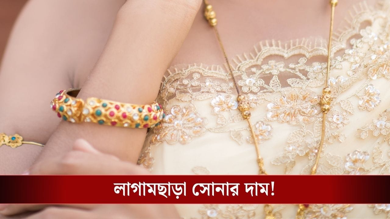 Gold Price Hike on Makar Sankranti: ধরাছোঁয়ার বাইরে সোনা, মকর সংক্রান্তিতে ১১ হাজার টাকা দাম! রুপোর দাম শুনে আঁতকে উঠবেন... Gold Price Hike on Makar Sankranti: ধরাছোঁয়ার বাইরে সোনা, মকর সংক্রান্তিতে ১১ হাজার টাকা দাম! রুপোর দাম শুনে আঁতকে উঠবেন...