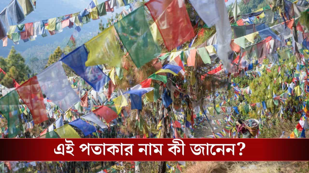Himalayan Prayer Buddhist Flag: পাহাড়ে গিয়ে এই পতাকার সামনে অনেকেই ছবি তোলেন, জানেন এর আসল মানে কী? Himalayan Prayer Buddhist Flag: পাহাড়ে গিয়ে এই পতাকার সামনে অনেকেই ছবি তোলেন, জানেন এর আসল মানে কী?