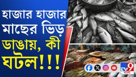 শরৎচন্দ্র চট্টোপাধ্যায়ের বাড়ির অদূরে বসে ৫১৯ বছর পুরনো মাছের মেলা