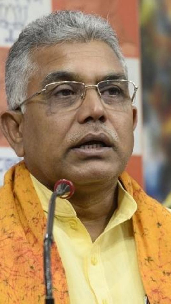 'তৃণমূল এ'বার হারলে...', দিলীপ বললেন দলের ভবিষ্যৎ