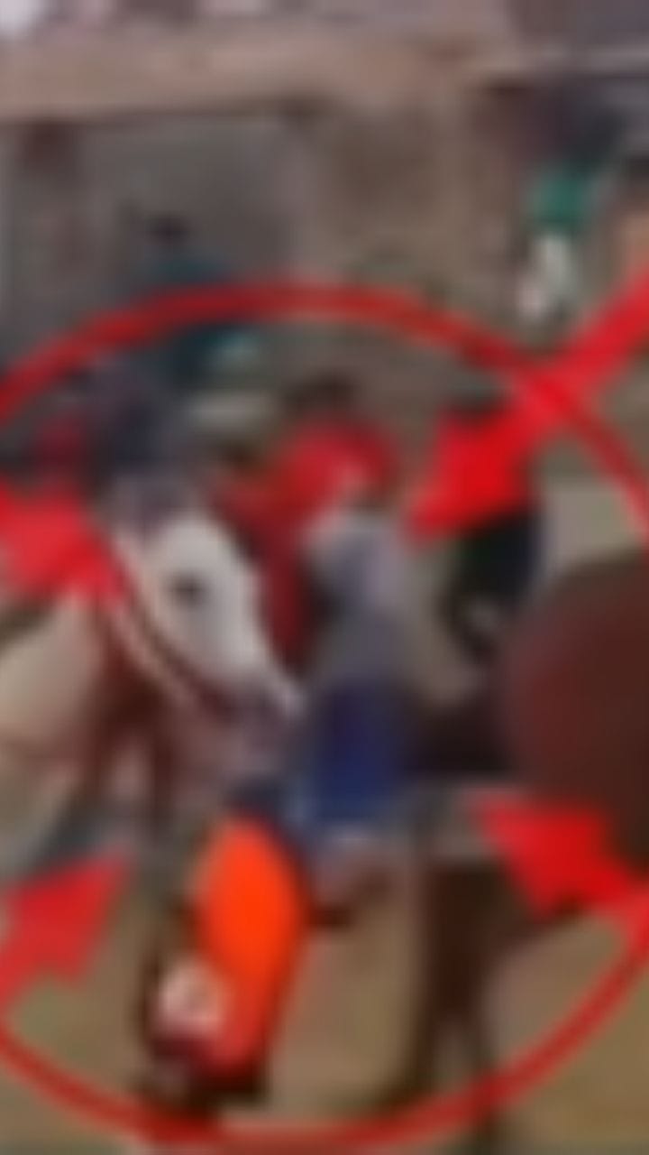 মুখে করে মানুষ টেনে নিয়ে যাচ্ছে ঘোড়া! দেখুন হাড়হিম করা ভিডিয়ো