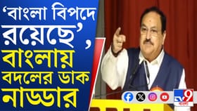 বাংলা নয়, এই রাজ্যে বাঙালিরা নিরাপদে আছেন: বাংলার জামাই নাড্ডা