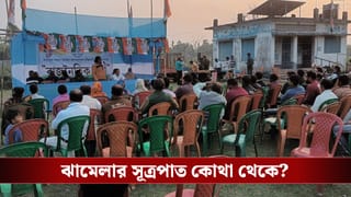 Trinamool Congress: দলীয় কমিটিতে ঠাঁই নেই, ভোটের মুখে সমান্তরাল কমিটি গড়ে বিতর্কে তৃণমূলের আদি নেতারা