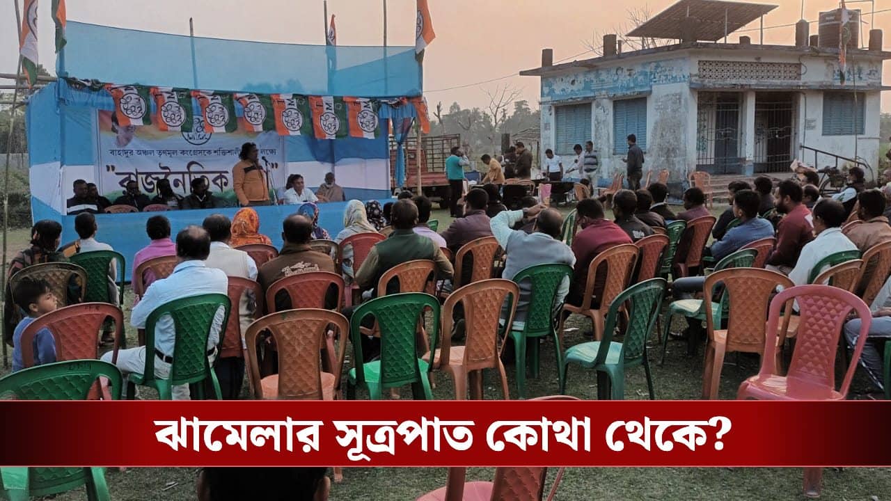 Trinamool Congress: দলীয় কমিটিতে ঠাঁই নেই, ভোটের মুখে সমান্তরাল কমিটি গড়ে বিতর্কে তৃণমূলের আদি নেতারা