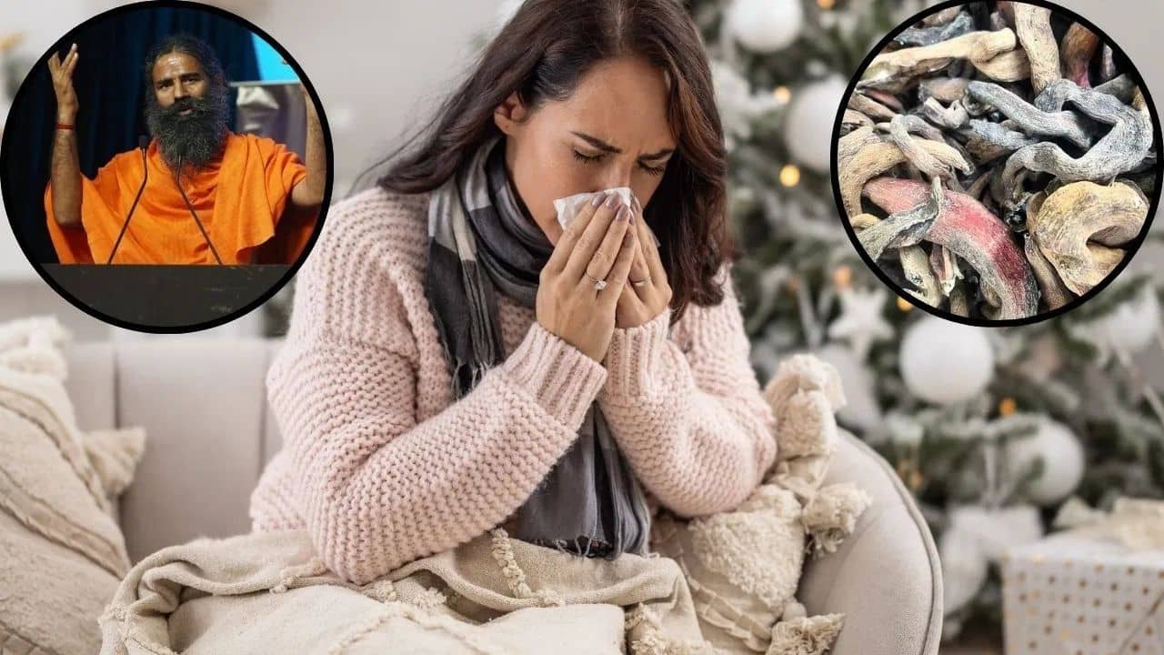 Patanjali News: তৈরি হয় শসা থেকেই! শীতের এই সুপার-ফুড জানেন কি?