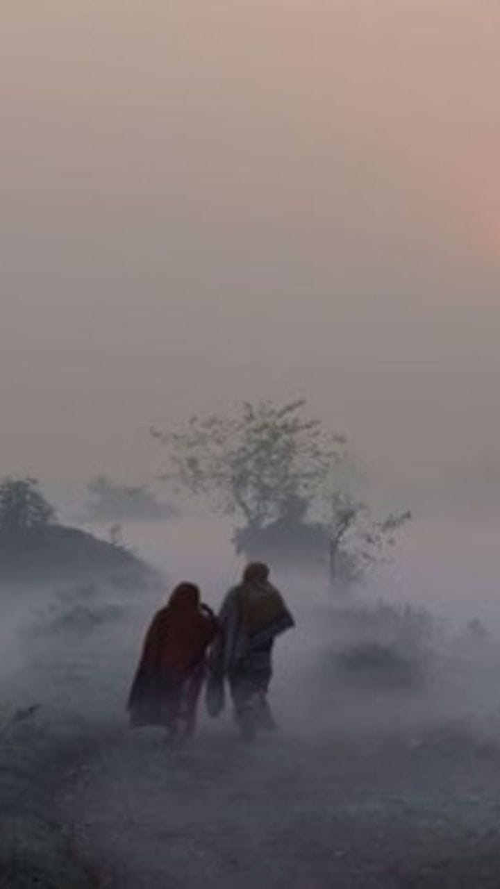 ফেব্রুয়ারিতে আবার পড়বে শীত?