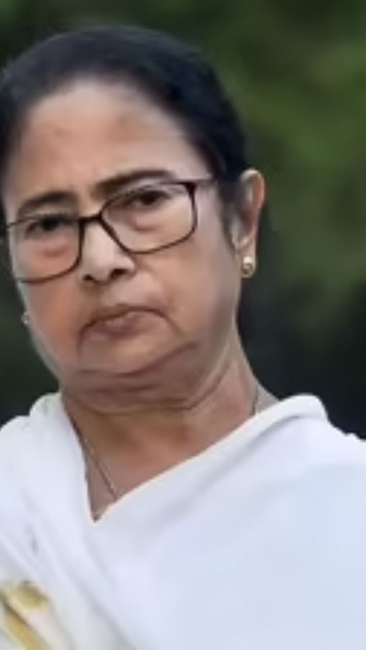 'BLO-রা প্রেসারে পাগল হয়ে যাচ্ছে, ১০০-র মতো মারা গেছে'