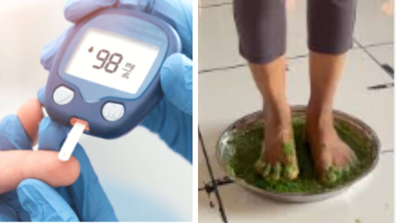 Diabetes: নিম-করলা বেটে, তার উপর দিয়ে হাঁটলেই ম্যাজিক, ডায়াবেটিক রোগীদের টিপস রামদেবের