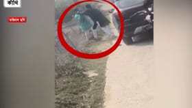 রাস্তা আটকে ধাক্কা মেরে, গলা টিপে ধরে... যা তা কাণ্ড কাঁথিতে