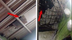 রাত তখন ৩টে, সবাই ঘুমে আচ্ছন্ন, বাড়ির ছাদে যে এই ঘটনা ঘটবে...