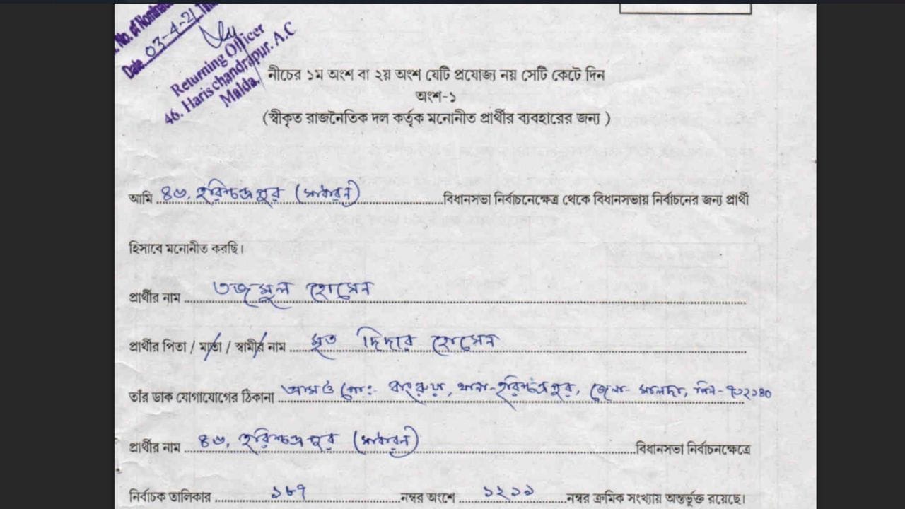 Large Image Tajmul 2