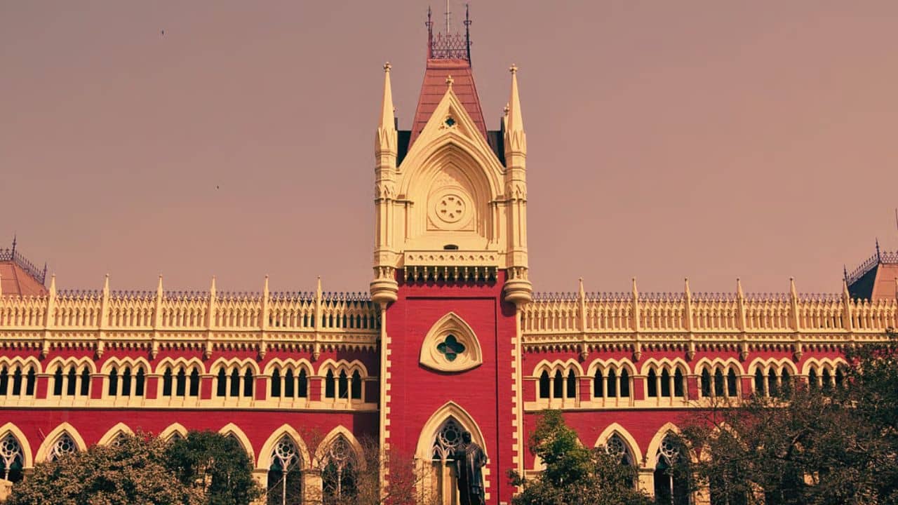 Calcutta High Court: এত স্পর্ধা... কেন রাজ্যের টাকায় এনাকে বেতন দিয়ে অর্থ অপচয় করা হচ্ছে?, ১৬ জানুয়ারির ঘটনায় প্রবল ক্ষুব্ধ হাইকোর্ট