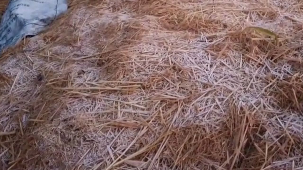 Large Image Snow In Purulia 2