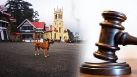 'রাস্তার কোনও ধর্ম নেই', বড় রায় হাইকোর্টের