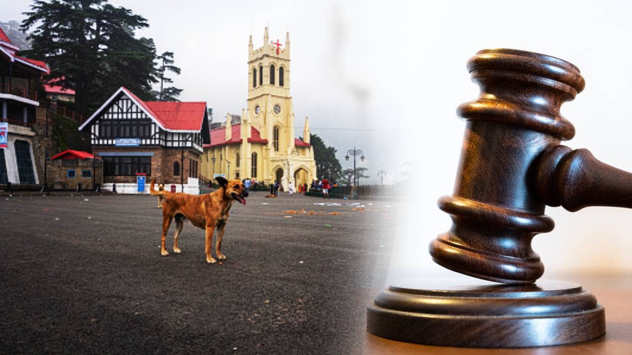 High Court News: রাস্তার কোনও ধর্ম নেই, বড় রায় হাইকোর্টের