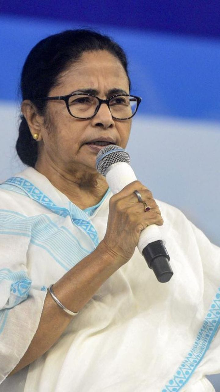 বিদেশ গেলে আমার আঁকা ছবিই উপহার দিই, পয়সা বেচে যায়: মমতা