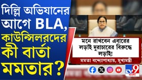 ৬৩ ও ৭২ নম্বর ওয়ার্ডে জোর দিতে তৃণমূলের BLA-দের বার্তা মমতার, কেন?